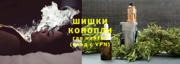 гидра Алексеевка