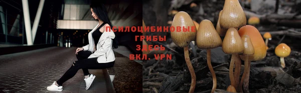 гидра Алексеевка
