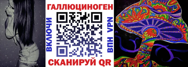 Псилоцибиновые грибы Cubensis  купить закладку  Юрьев-Польский 